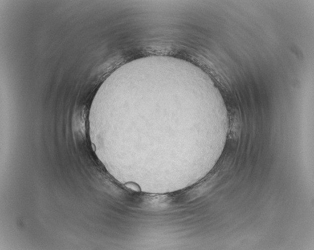 X0000115560334200912041058