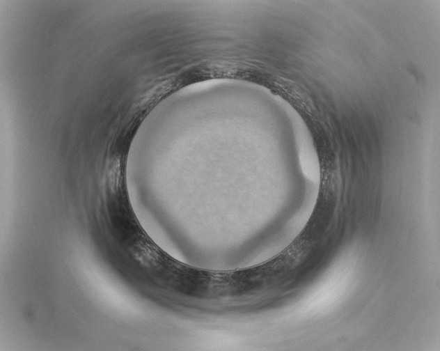 X0000115560335200912041058