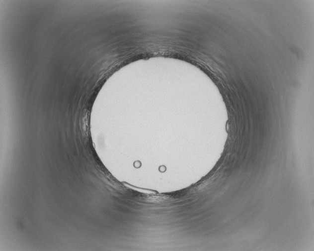 X0000115560336200912041058