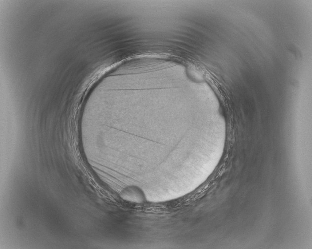 X0000115560337200912041057