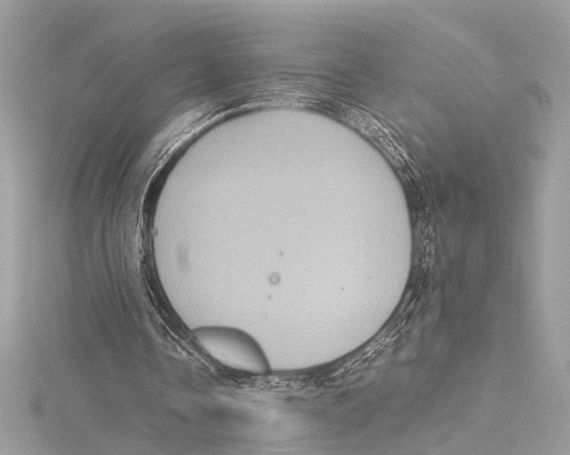 X0000115560338200912041057