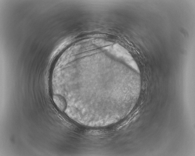 X0000115560341200912041057