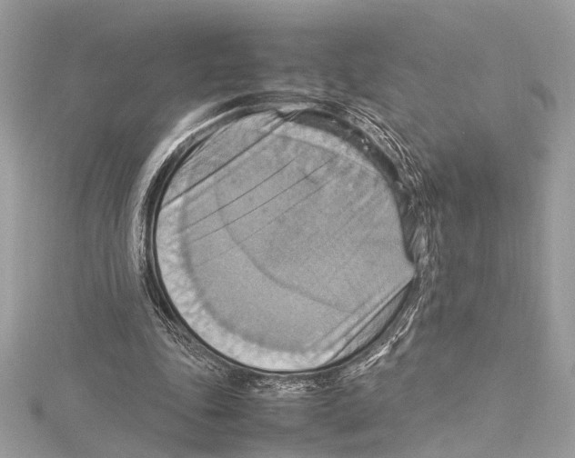 X0000115560343200912041057