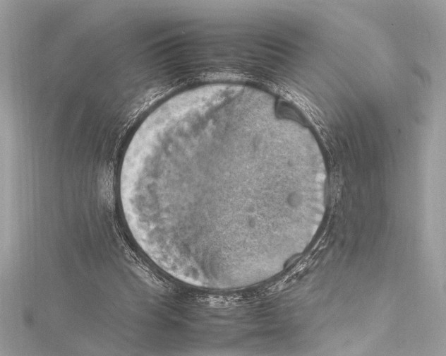 X0000115560345200912041058