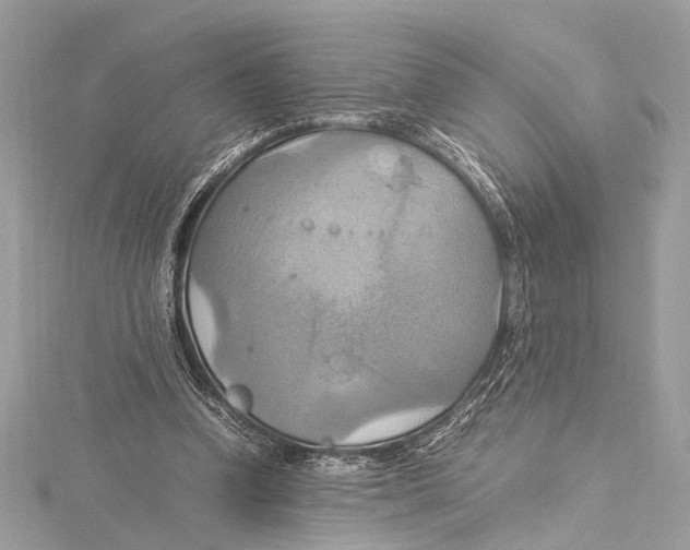 X0000115560346200912041058