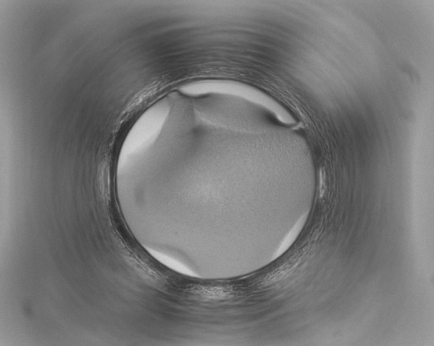 X0000115560349200912041058