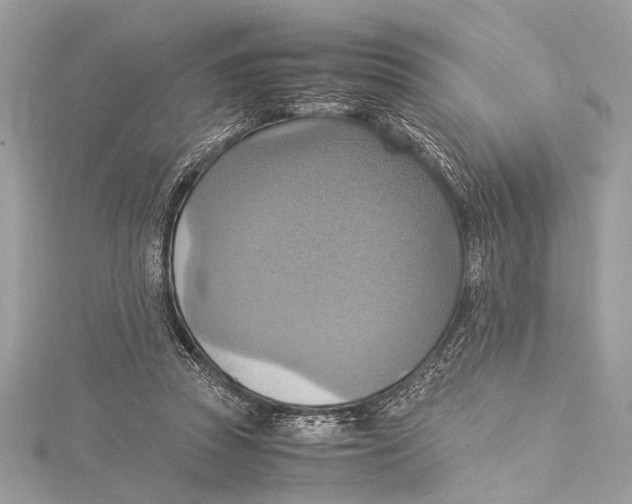 X0000115560353200912041058