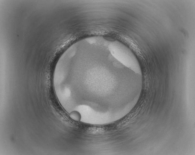 X0000115560354200912041058