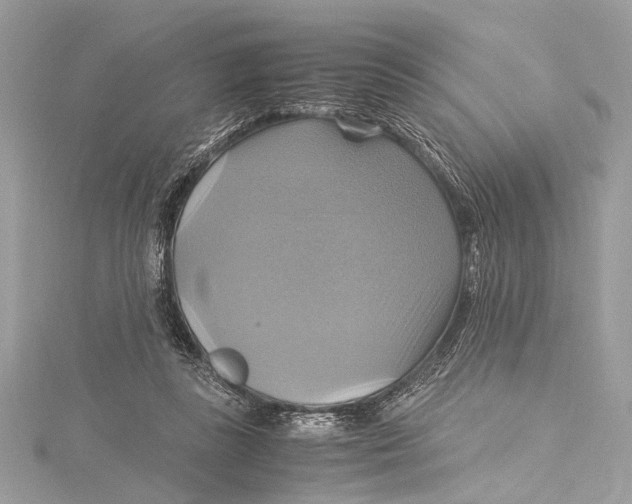 X0000115560355200912041058