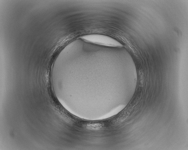 X0000115560357200912041058