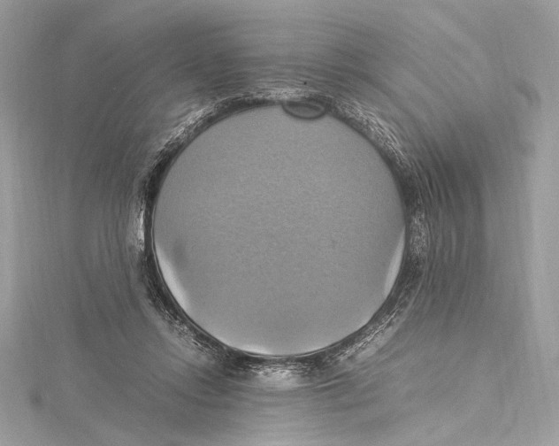 X0000115560358200912041058