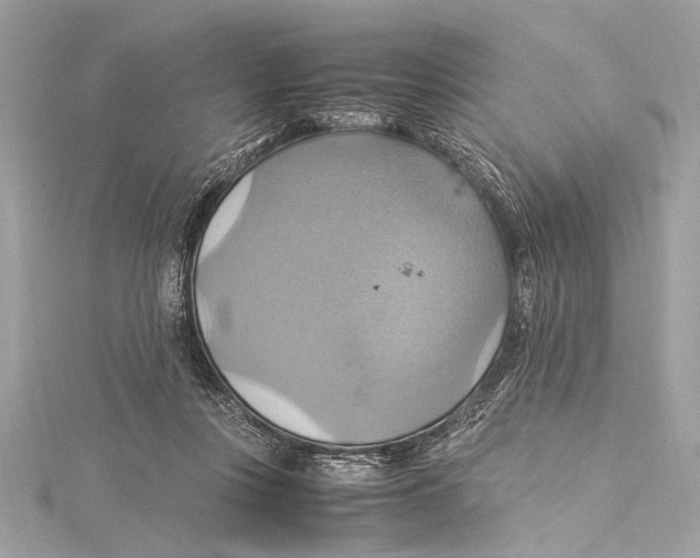 X0000115560359200912041058