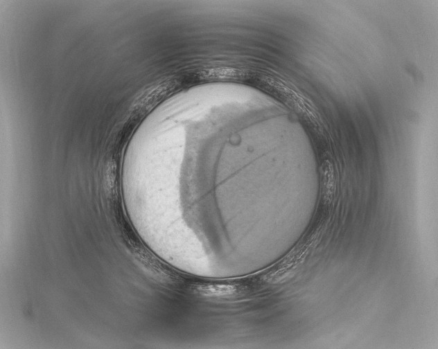 X0000115560361200912041058