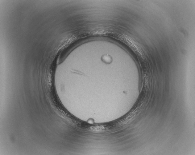 X0000115560362200912041058