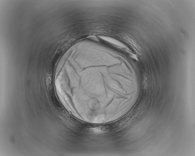 X0000115560365200912041058