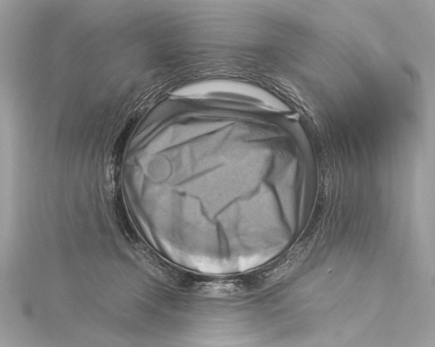 X0000115560366200912041058