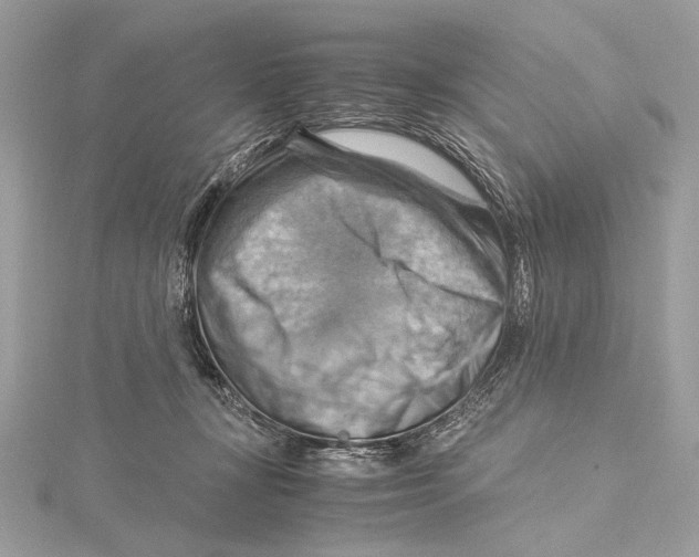 X0000115560367200912041058