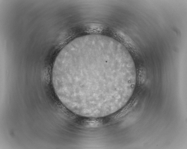 X0000115560370200912041058