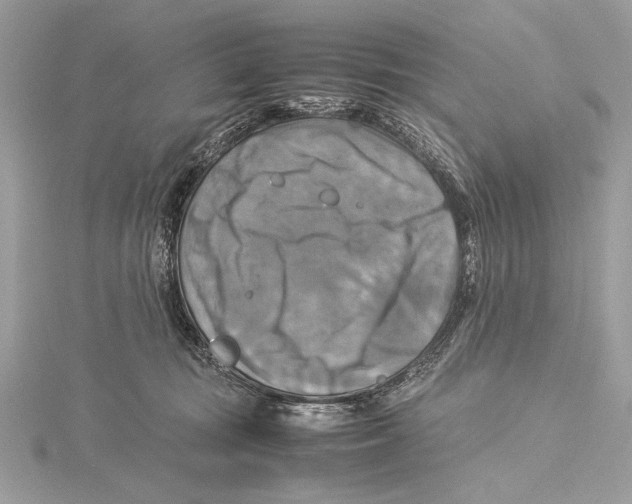 X0000115560371200912041058