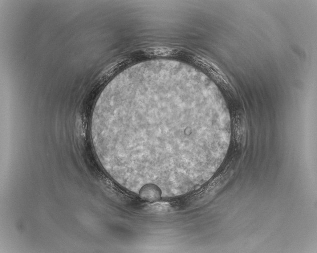 X0000115560374200912041058