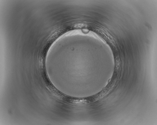 X0000115560375200912041058