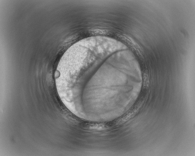 X0000115560377200912041058