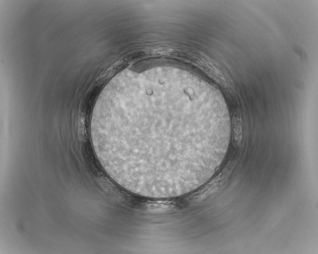 X0000115560378200912041058