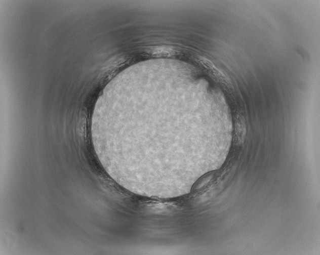 X0000115560379200912041058