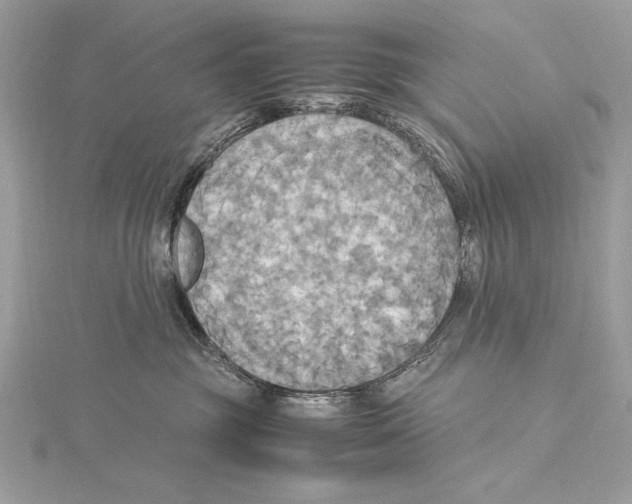 X0000115560381200912041058