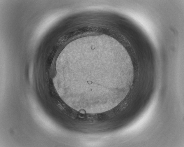 X0000115560382200912041058