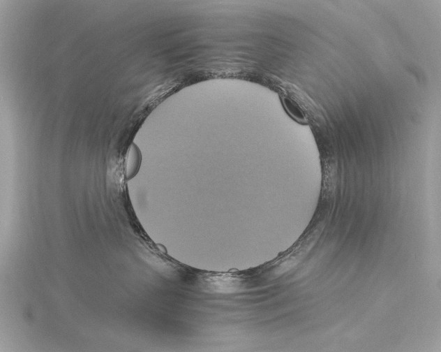 X0000115560383200912041058