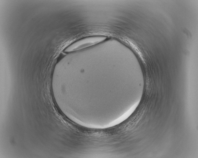 X0000115560385200912041057