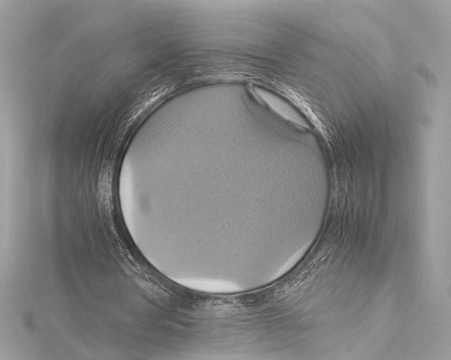 X0000115560386200912041057