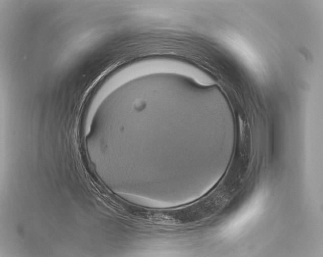 X0000115560387200912041057