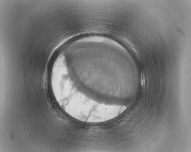 X0000115560388200912041057