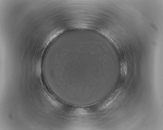 X0000115560390200912041057