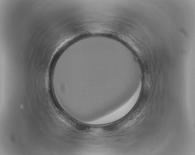 X0000115560391200912041057