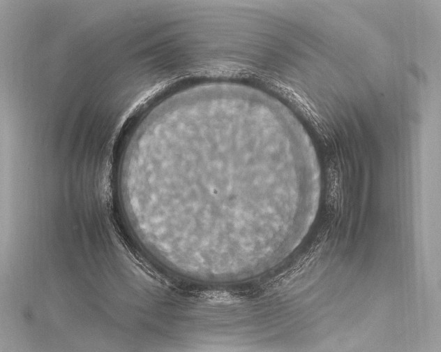 X0000115560392200912041057