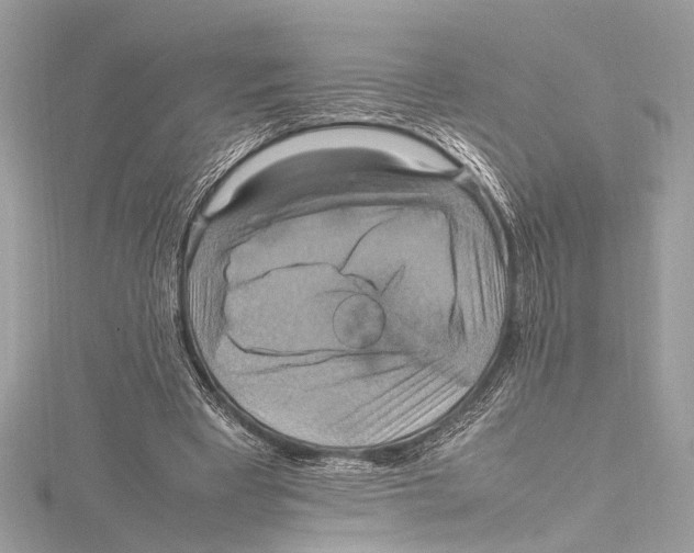 X0000115560393200912041057