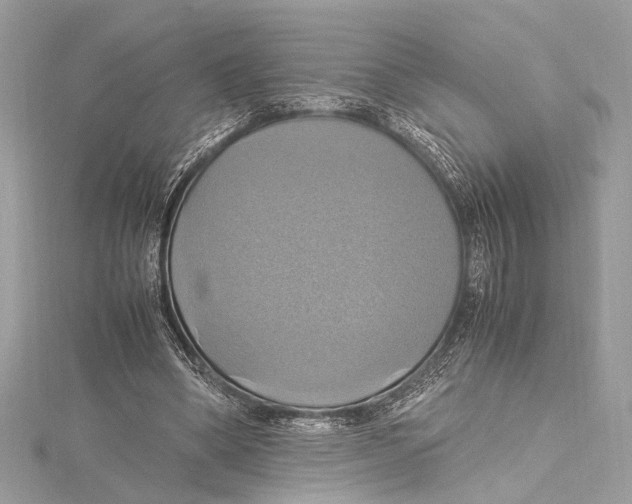 X0000115560394200912041057