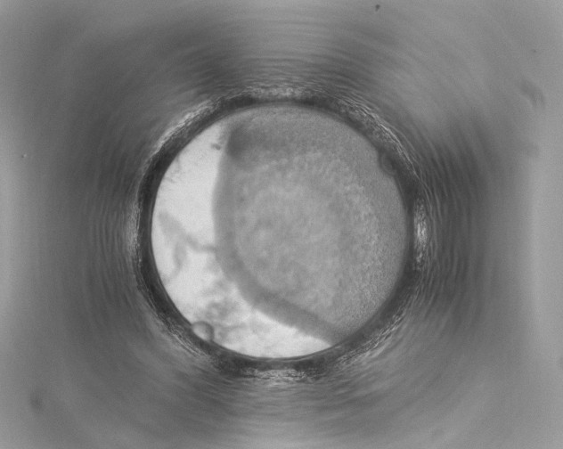 X0000115560396200912041057