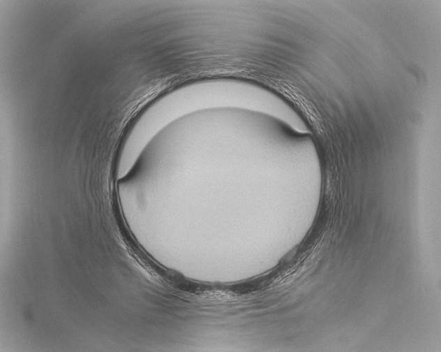 X0000115560397200912041057