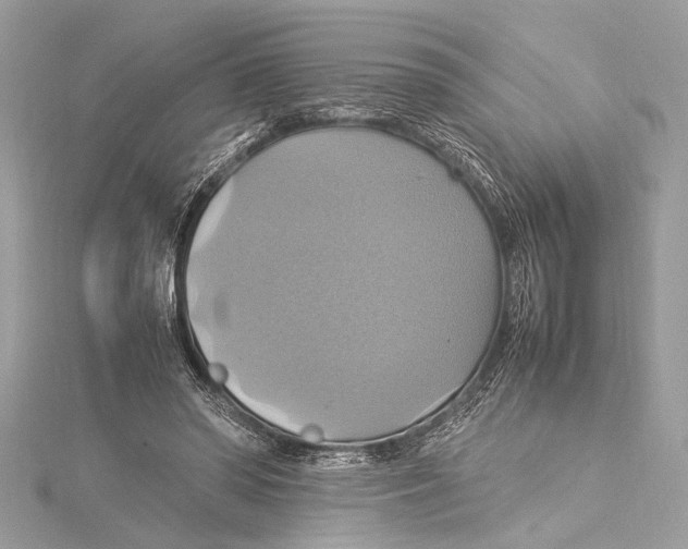 X0000115560398200912041057