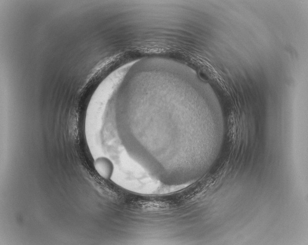 X0000115560400200912041057