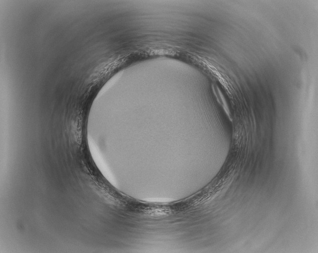 X0000115560402200912041057