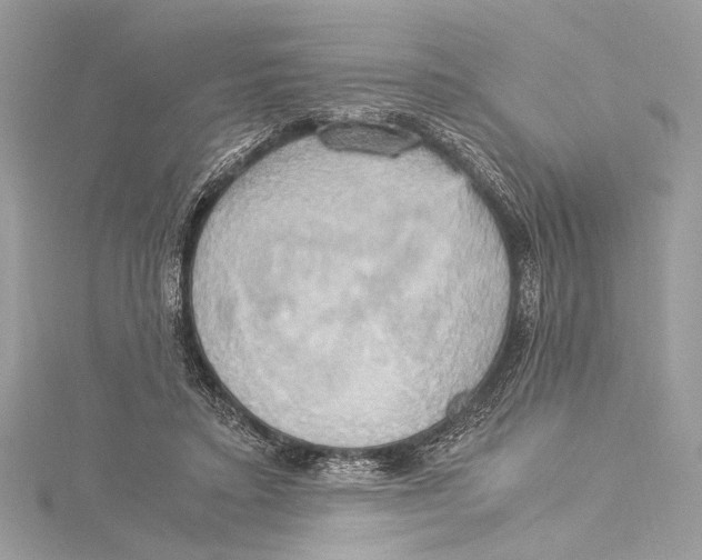 X0000115560403200912041057