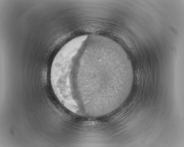 X0000115560404200912041057