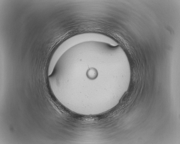 X0000115560405200912041057