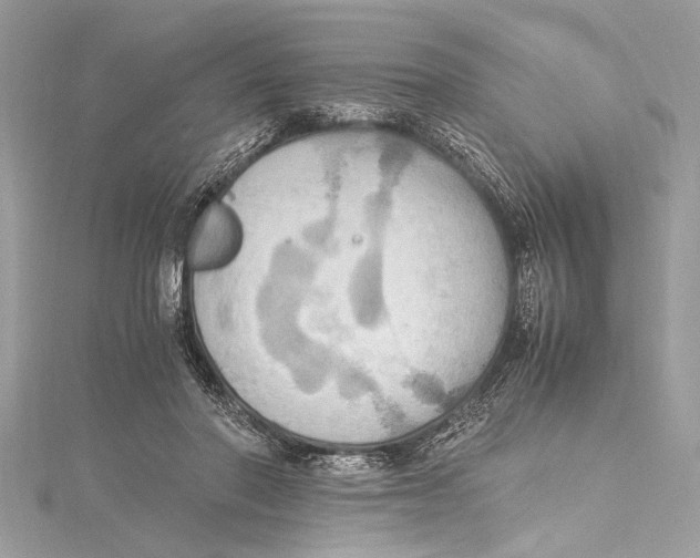 X0000115560406200912041057