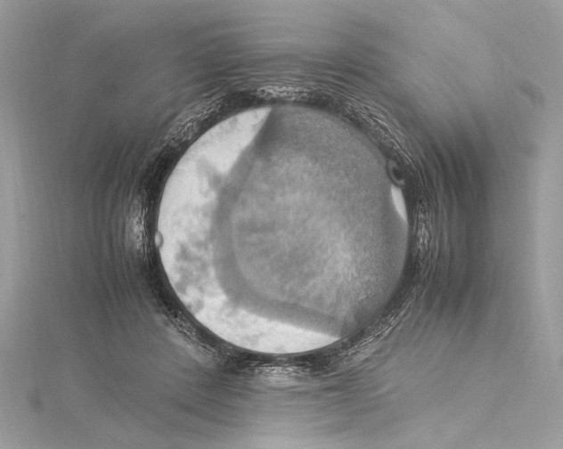 X0000115560408200912041057